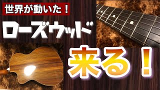 ローズウッド大好きなギタリストに朗報です。【2019年ワシントン条約改正】 [upl. by Popper]