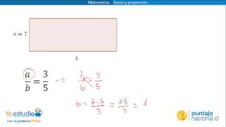 Matemática  Razón y proporción Área de un rectángulo [upl. by Lama]