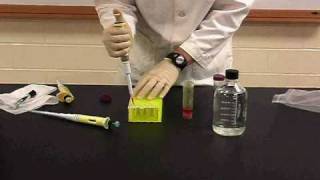 Protein Methods 2010  Dilutions with Chromophores no audio [upl. by Nauqyaj]