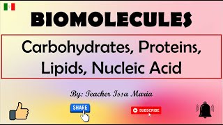 Biomolecules  Classification of Biomolecules  Carbohydrates Proteins Lipids and Nucleic Acids [upl. by Kawai75]