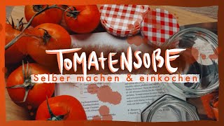 TOMATENSOßE selber herstellen amp Einkochen  MICEKÖRNCHEN [upl. by Alenoel876]