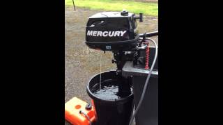 Mercury 6hp four stroke [upl. by Quintessa81]