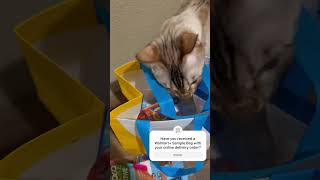 Unbox my free sample bag from Walmart with my cat Walmart cute shorts fyp unboxing free [upl. by Wadsworth]