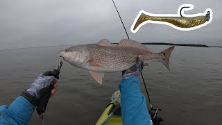 Hunting Redfish  Brown and Root Flats  Port Aransas Texas [upl. by Anertak]