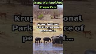 Interesting Facts  Kruger National Park  Wildlife with Rusty and Dusty [upl. by Eedya]