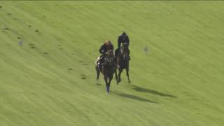 Cracksman working at Breakfast With The Stars BWTS [upl. by Sellihca589]