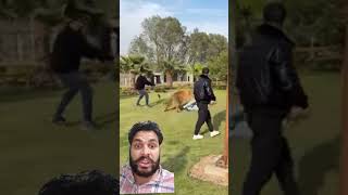 Tiger ne attack kiya  Animal lover treanding shorts [upl. by Jyoti647]