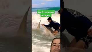 Olha o que esse pescador fez com tubarão martelo [upl. by Menides140]