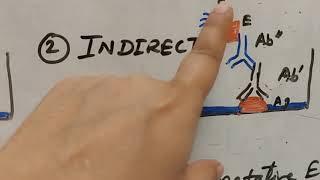 Types of ELISA HINDI [upl. by Ardnasal]