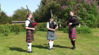 From Oban to Mallaig Scotlands Most Magical Train Journey [upl. by Daza662]