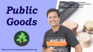 Public Goods in Hindi [upl. by Kane]