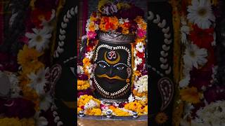 Chahye paihro ke niche se jameen khisak jaye 🔱🕉️mahadev mahakal shiv bholenath shorts [upl. by Hanahs]