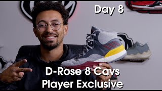 Adidas DRose 8 Cavs Player Exclusive [upl. by Mirielle]