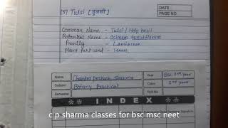 TULSI medicinal plant Ocimum tenuiflorum botany file hindi amp english by c p sharma classes umcj [upl. by Congdon170]