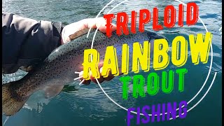 Triploid trout trolling fishing with leech pattern Long Lake Vancouver Island BC Canada [upl. by Atteiluj]