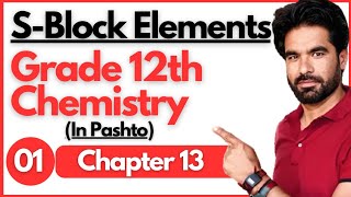 SBlock Elements  Class 12th chemistry  Lecture 01 [upl. by Liscomb]