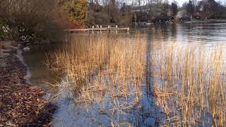 Tutzing am Starnberger See  Kustermann Park [upl. by Merriam]