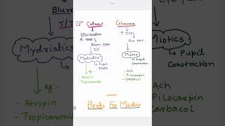 Catract Vs Glucoma  Blurred vision  Sever eye pain  Atropin injection  Mydriatics  Miotics [upl. by Ainimre]