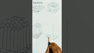 Diagram of Epithelial tissueEpithelialtissueBiologyclassScience project practical viral shorts [upl. by Areikahs816]