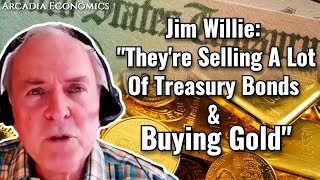 Jim Willie quotTheyre Selling A Lot Of Treasuries amp Buying Goldquot [upl. by Zebaj]