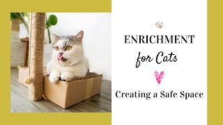 Environmental Enrichment for Cats part 1 🐈 How to Create a Safe Space for Cats  Catproof your Home [upl. by Ennaeilsel]