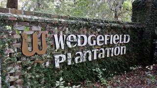 Wedgefield Plantation Country Club Golf Georgetown SC [upl. by Leerzej]