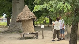 A tour at Dar es Salams Village Museum [upl. by Dickey]