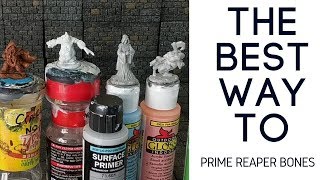 Testing Reaper Bones Priming and Prep [upl. by Bullock]