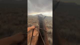 Jumping Sage Brush In the Rain Horseback music sagebrush cowgirl rain horse fyp [upl. by Casi]