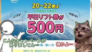 【5500円→500円】リフト券が9割引きになった県 猫ミーム [upl. by Sayer]