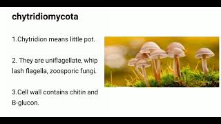 Chytridiomycotachytridiomycota fungi [upl. by Cynth247]