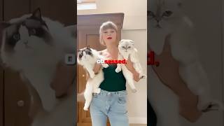 Katy Perry STEALS Taylor Swifts CAT 🤯🐈 [upl. by Holland]