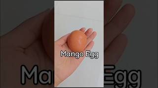 Mango shaped egg funny [upl. by Arlyne679]