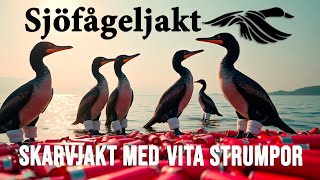 Skarvjakt med vita strumpor [upl. by Day313]