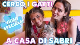 Cerco i gatti a casa di Sabri  Video Speciale  LA LU [upl. by Rednasela207]