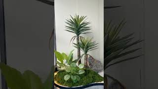 Best Indoor Plants for Beginners with Low Maintenance [upl. by Melissa]