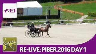 ReLive  FEI World Championships For Single Driving  Dressage Day 1  Piber 2016 [upl. by Oluap]