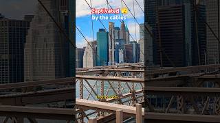 Captivated 🫣 by the cables 😍🌉👁️👁️✅🇺🇸👈🇵🇰🇮🇳🇨🇦😻👌🥰💗💪travel tourism shorts nadeembukhari video [upl. by Etnecniv]