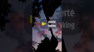 Liberté soolking music [upl. by Adnert]