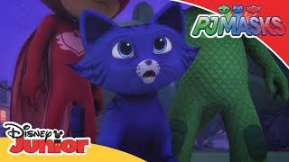 Pisoi devine un motan adevărat 🐱  Eroii în Pijama  Disney Junior România [upl. by Thomajan]