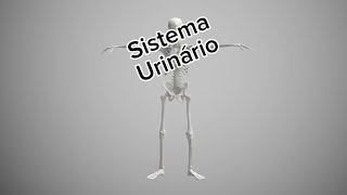 Sistema urinário medicinauy [upl. by Weldon]