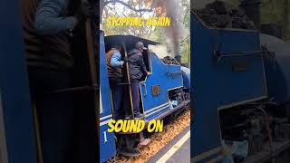 Darjeeling Rail steam loco in action darjeelinghimalayanrailway train travel railway [upl. by Michaud]