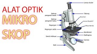 Alat Optik  Mikroskop [upl. by Rayner]