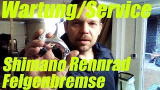 Wartung Service Rennrad Felgenbremse Shimano [upl. by Lilybel]