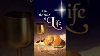 I am the Bread of Life Suzanne Toolan [upl. by Clarissa]