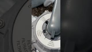 Backwash an Intex Sand Filter in less than 60 seconds shorts [upl. by Meeker383]