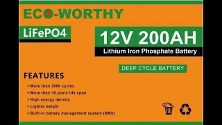 Eco Worthy 1 Year Battery Review [upl. by Georgie]