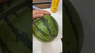 Fresh watermelon cutting ytshorts watermelon fresh juicy fruitcutting asmr [upl. by Oinigih]