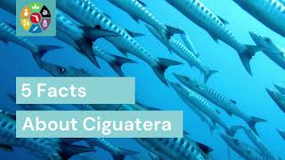 5 Facts About Ciguatera [upl. by Jaymie124]