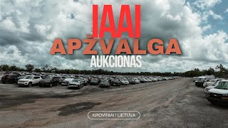 IAAI Aukcionas WPB  Grizo klientu masinos i MIAMI terminala [upl. by Iretak905]